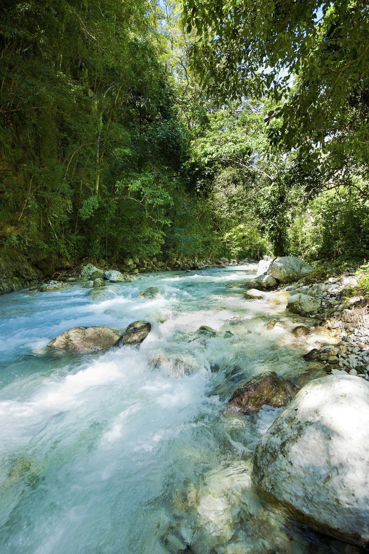Casa Bonita Tropical Lodge & Spa Barahona Dış mekan fotoğraf